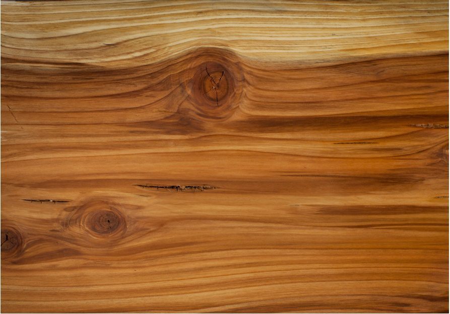 Coast Redwood